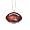 Cleveland Browns