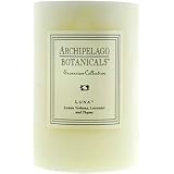 Archipelago Botanicals 4 x 6 Pillar Candle: Luna