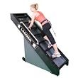 Biggest Loser Ladder Exercise Machine - Biggest Loser Ladder Exercise Machine - BIGGEST
