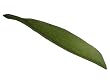 Cast Iron Incense Holder - Green Leaf