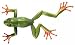 Search : Colossal Frog Squirt