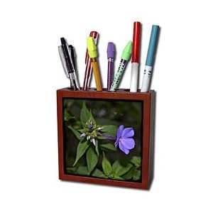 WhiteOak Photography Floral Prints - Delicate purple garden flowers - Tile Pen Holders-5 inch tile pen holder