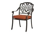 Florence Caluco Dining Arm Chair Cast Aluminum Dining Chair