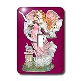 Lighting Accessories- Switch Plates