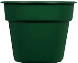 Duraco Products, Inc. DC8WAST Dura Cotta Rolled Rim Pot