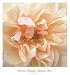 �ݥ����� ��٥å� ����󥽥� Promise Rose