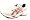White/Paradise Pink/Black