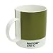 W2&times;PANTONE MUG OLIVE 5757C マグカップ オリーブ W2-PA05