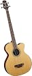 Takamine TB240SC-NS - 4 String Acoustic-Elec Bass Guitar - Satin Natural
