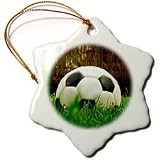 Soccer - Black Soccer Ball - Ornaments