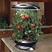 Outdoor Living : Aerogarden Pro 200 w/ 2 Free Seed Kits