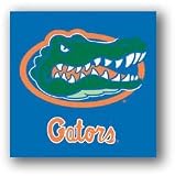 NCAA Florida Gators Seat Cushion/Tote