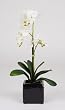 Artificial 17" Mini Phalaenopsis Orchid