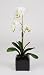 Artificial 17" Mini Phalaenopsis Orchid