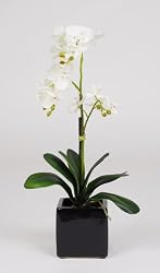 Artificial 17" Mini Phalaenopsis Orchid