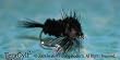 Grizzly Montana Stonefly