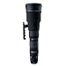 �V�O�} APO300-800mm F5.6 EX DG HSM �t�H�[�T�[�Y�p