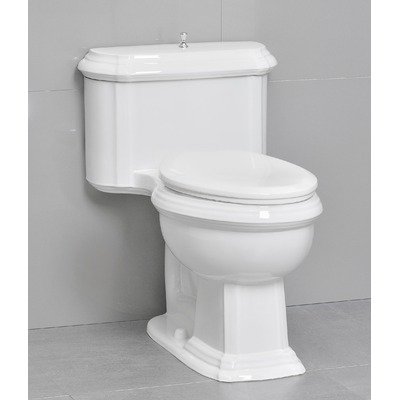 Vanier One-Piece Toilet On Sale