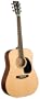 Recording King Classic Series I Acoustic Dreadnaught Guitar (Rosewood)