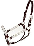 Royal King Silver Ferrule Show Halter & Lead Set
