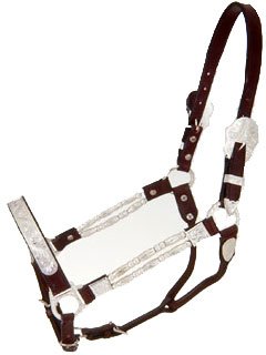 Royal King Silver Ferrule Show Halter & Lead Set