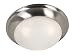 31606u9Z6zL. SL75  Illuminating the Future of Kitchen Lighting: Energy Efficiency
