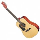 Washburn D10SLH with Hardshell Case