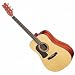 Washburn D10SLH with Hardshell Case