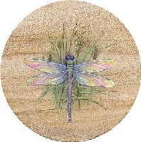 Thirstystone 6 inch Sandstone Trivet Dragonfly