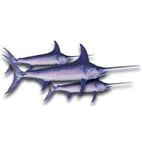 Swordfish Steaks, 1 Pound