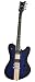 Schecter Dan Donegan Signature Guitar, Ultra DD