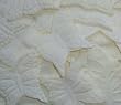 Butterfly Shaped Silk Rose Petals Wedding Favors - 200 Ct -Ivory