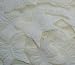 Butterfly Shaped Silk Rose Petals Wedding Favors - 200 Ct -Ivory