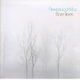 Fleetwood Mac Bare Trees