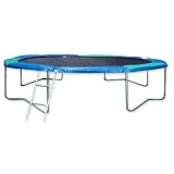 Trampoline: Jumpking 14 ft Trampoline with Weather Cover and Ladder