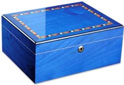 Childrens Toyshop  Kitchen & Housewares : Adorini Humidor Ancona