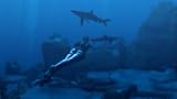 Tomb Raider: Underworld&nbsp;image