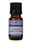 Plantlife Lavender 100% Pure Essential Oil - Bulgarian - 10 ml
