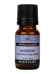 Plantlife Lavender 100% Pure Essential Oil - Bulgarian - 10 ml