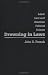 Book Drowning in Laws: Labor Law and Brazilian Political Culture