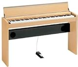 CASIO dqsAmZBA[m PS-3000