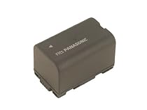 Battery-Biz PANASONIC NV-DS30 Camcorder battery