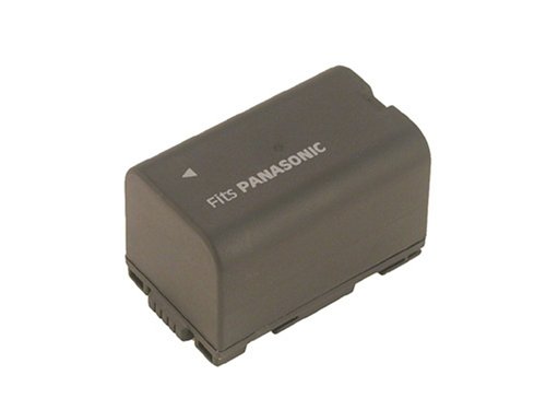Battery-Biz PANASONIC NV-GX7EG Camcorder battery