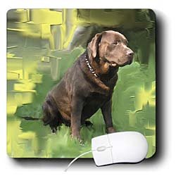 image link -  - B002I87I8O