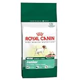 Royal Canin MINI Junior 8,5 kg
