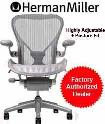 Aeron Chair by Herman Miller - Home Office Desk Task Chair Fully Loaded Highly Adjustable Medium Size (B) - Posture Fit Lumbar Back Support Cushion Titanium Smoke Frame Classic Zinc Pellicle