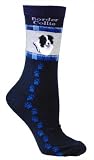 American Kennel Club (AKC) Border Collie Socks (Adult Size)