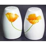 Pfaltzgraff Sunshine Salt and Pepper Set