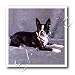 boston_terrier42boston terrier - Boston Terrier 10x10 Iron On Heat Transfer For