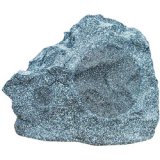 8" 2-Way Weatherproof Rock Speakers